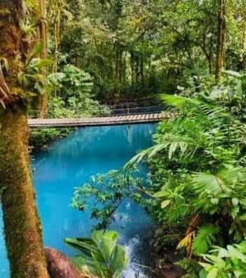 Cabinas El Pilon Rio Celeste Eksteriør bilde