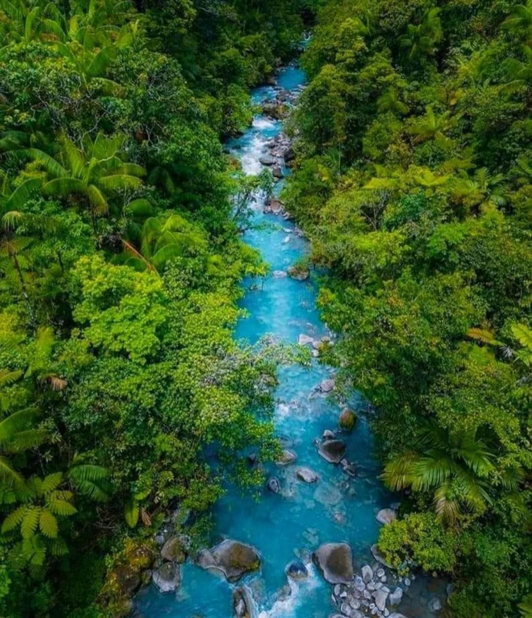 Cabinas El Pilon Rio Celeste Eksteriør bilde